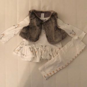 3 pc faux fur vest rabbit shirt and pants set